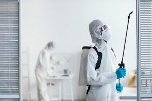 best mold removal service in las vegas